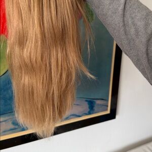 PHONIX BY JON RENAU HUMAN HAIR WIG